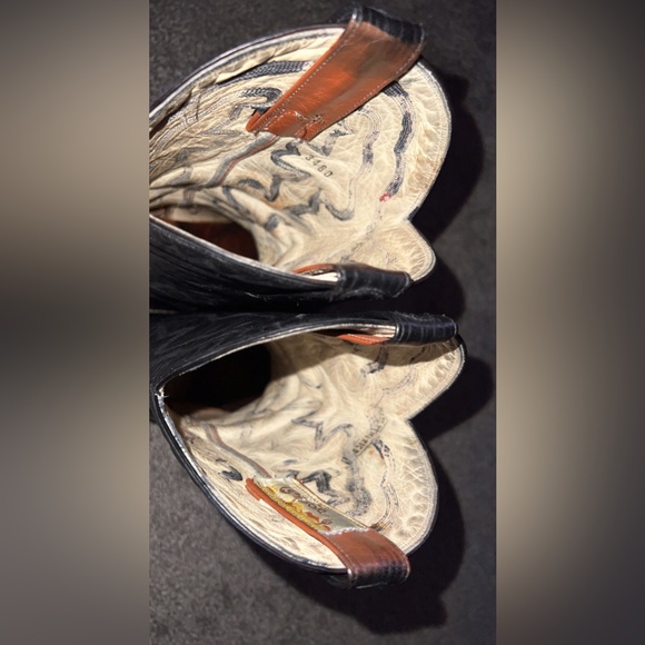 Montana turtles ๐ข๐ข 9.5 D asking 340 - Picture 8 of 10